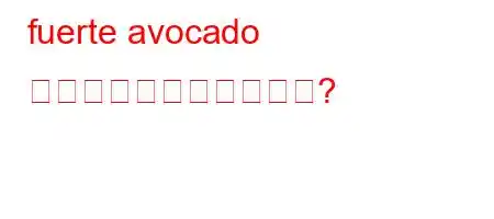 fuerte avocado とはどういう意味ですか?